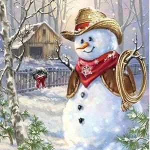 Meet your Posher, Donna